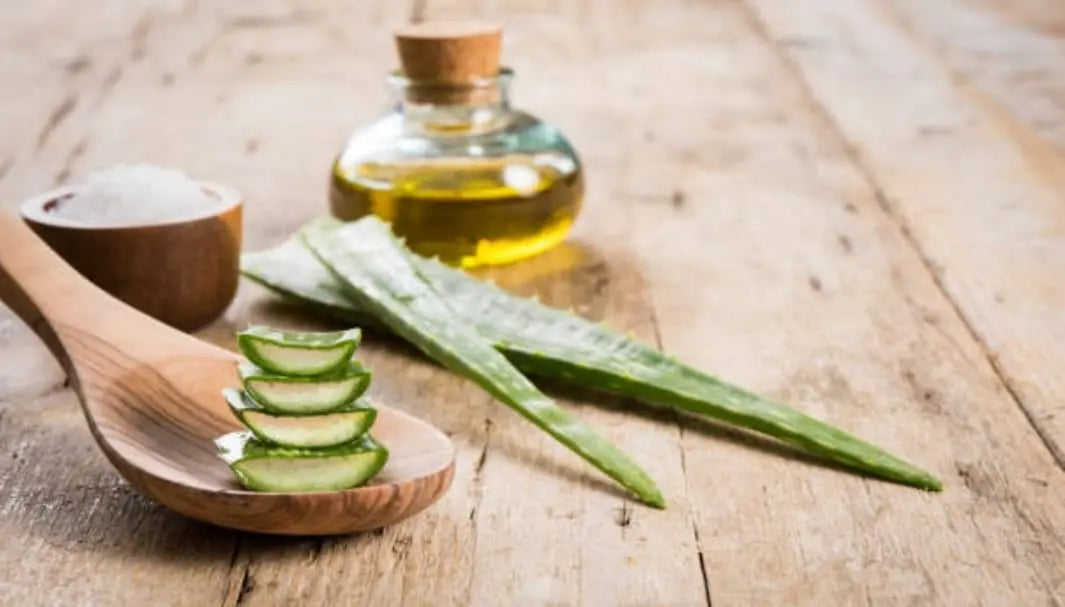 Power of Aloe Vera For Beautiful Skin  The Aloe Vera plant dates back to 6,000 years in ancient Egypt. The "blood" of which kept the secrets of beauty, health, and immortality was regarded as a sacred herb. 
